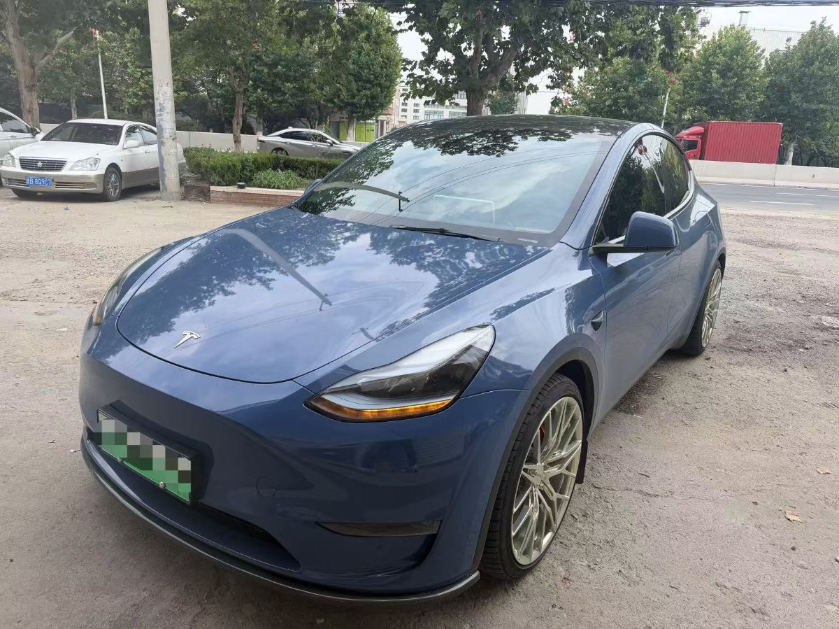 Tesla Model Y 2024 car image 
