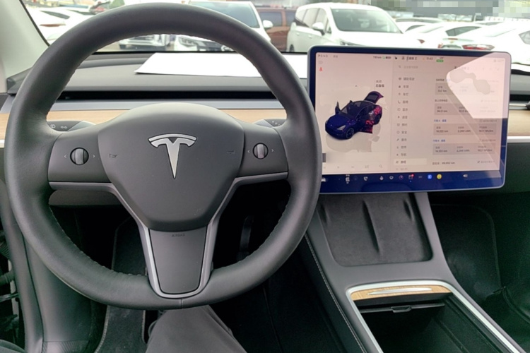 Tesla Model Y 2022 car image #10