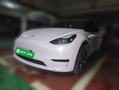 Tesla Model Y 2023 immagine di auto 