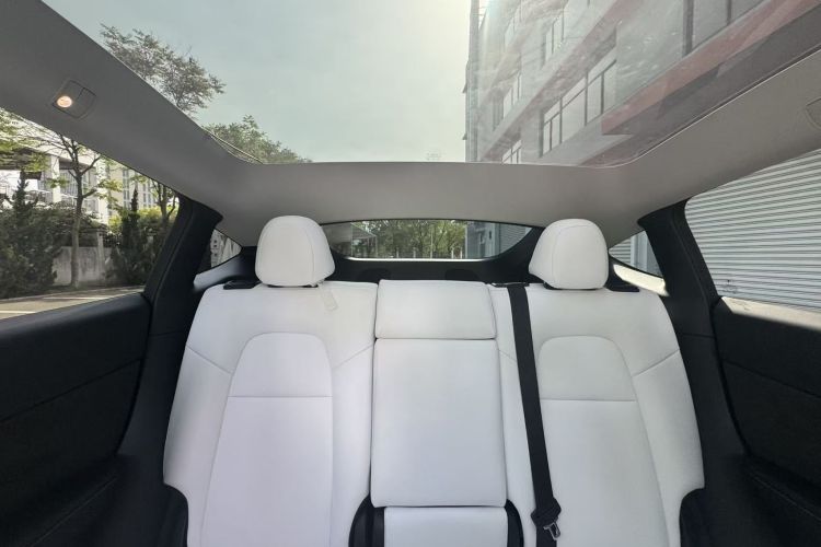 Tesla Model Y 2023 #15 Tesla Model Y 2023 car image #15