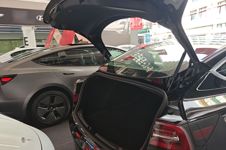 Tesla Model 3 2020 #19 Tesla Model 3 2020 car image #19