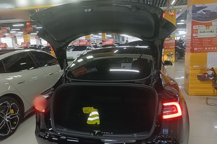 Tesla Model 3 2020 #19 Tesla Model 3 2020 car image #19