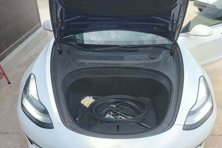 Tesla Model 3 2020 #20 Tesla Model 3 2020 car image #20