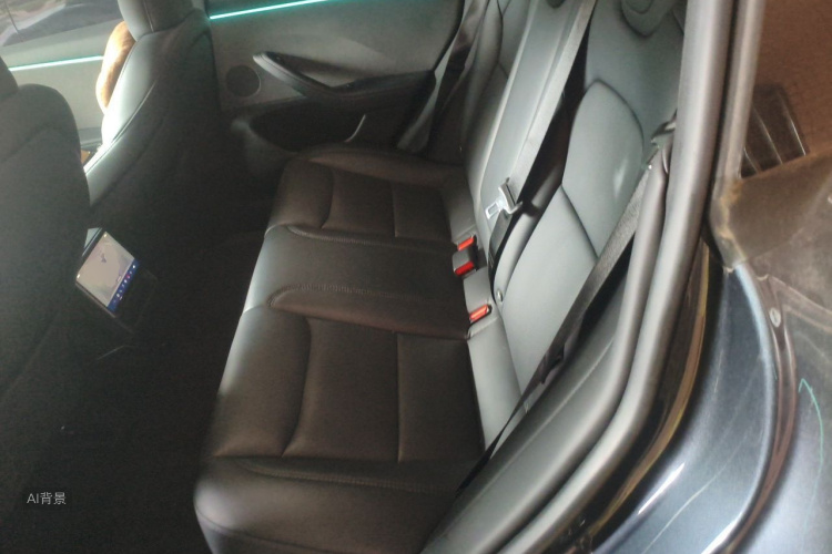 Tesla Model 3 2024 car image #19