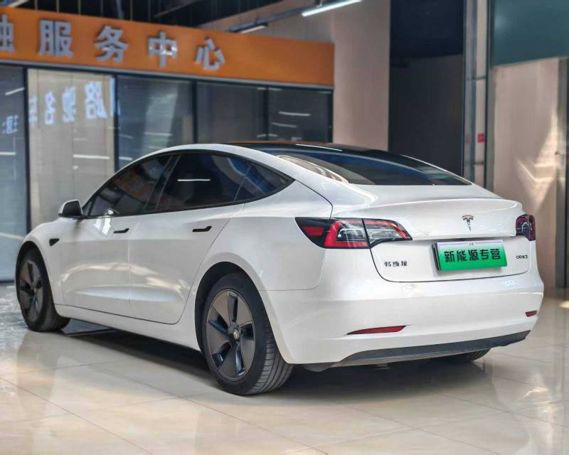 Tesla Model 3 2021 #5 Tesla Model 3 2021 car image #5