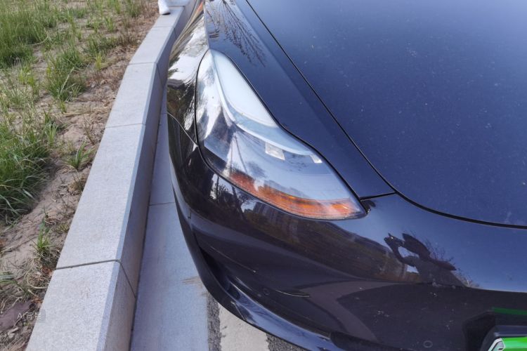 Tesla Model 3 2021 #8 Tesla Model 3 2021 car image #8
