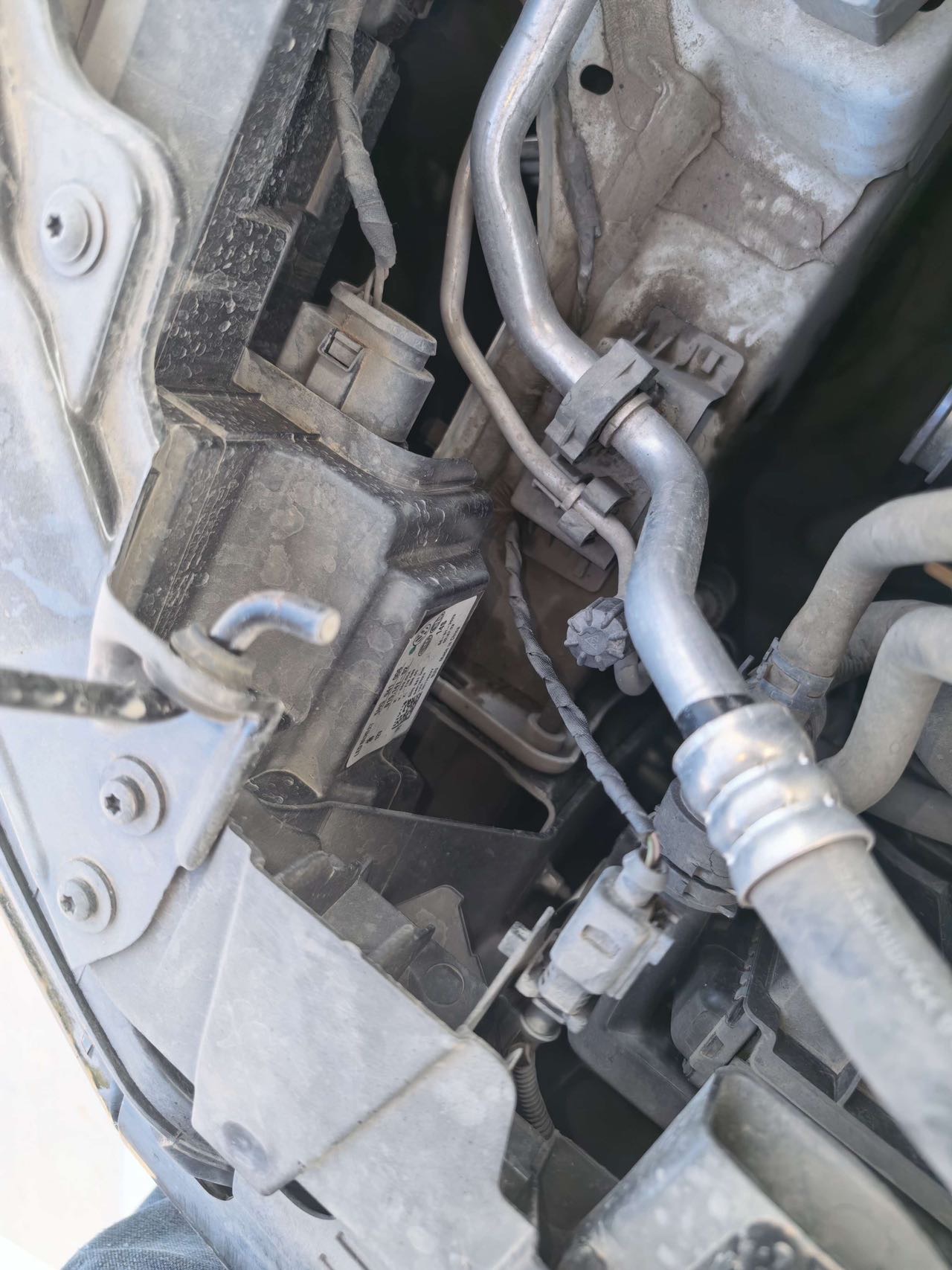 2021 #5 2021 imagen de coche #5