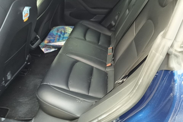 Tesla Model 3 2020 #17 Tesla Model 3 2020 car image #17