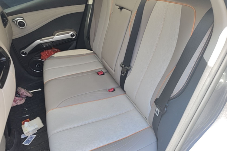 BYD Yuan Plus 2023 car image #17