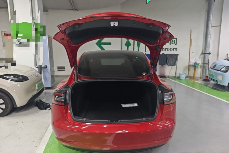 Tesla Model 3 2021 #19 Tesla Model 3 2021 car image #19