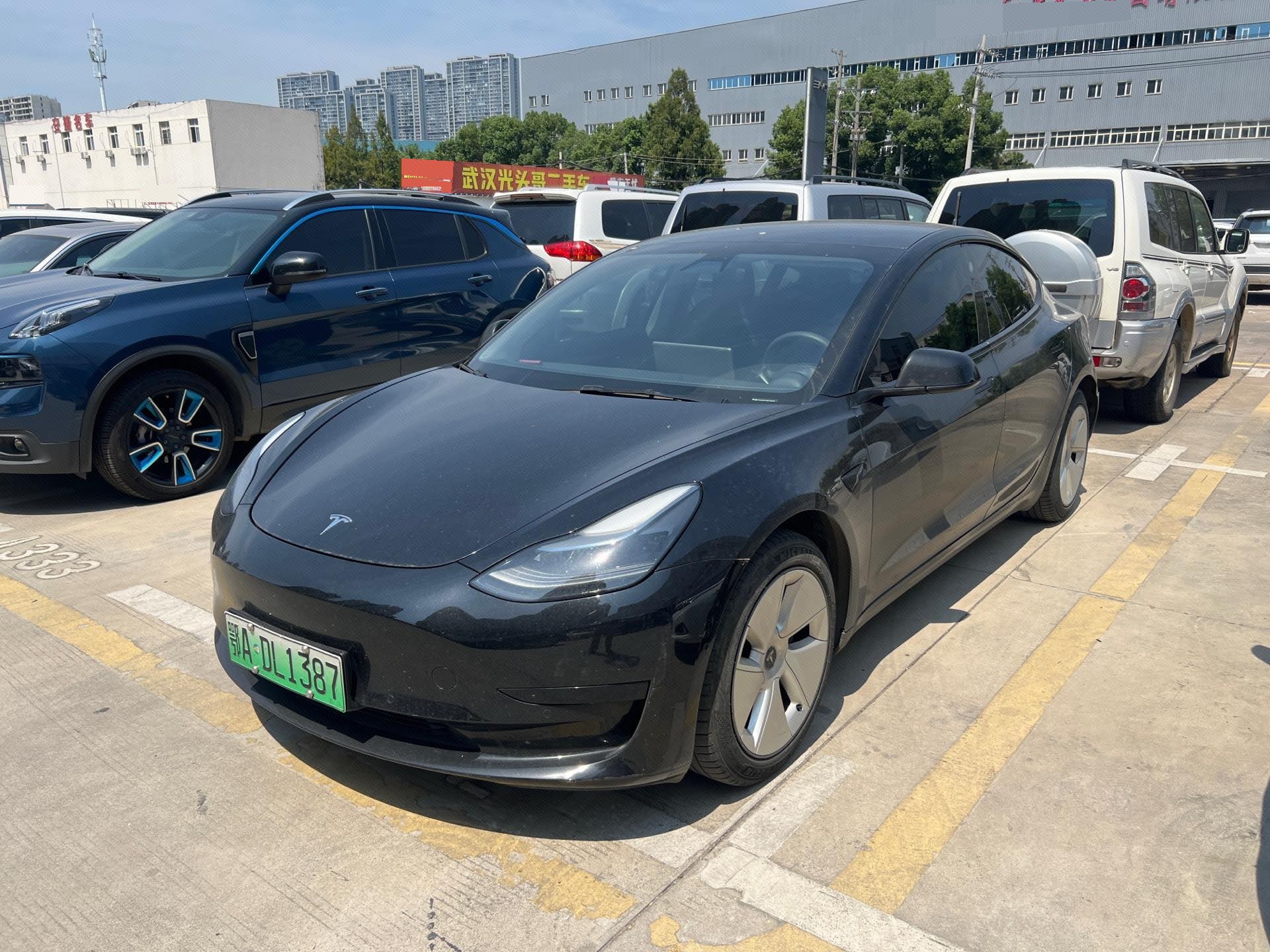 Tesla Model 3 2021 Tesla Model 3 2021 car image