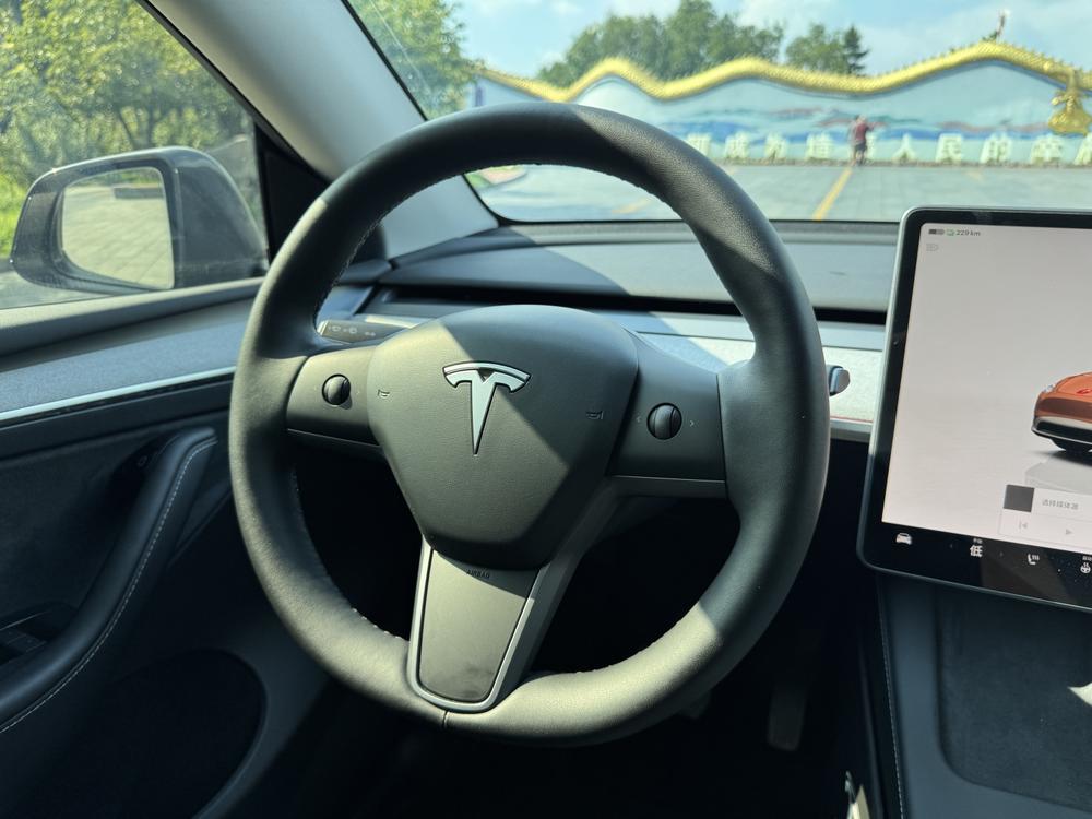 Tesla Model Y 2025 car image #13