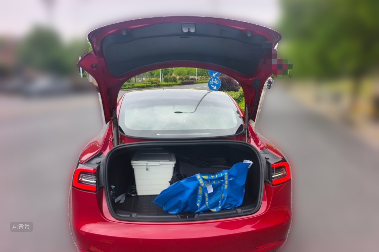 Tesla Model 3 2022 car image #21