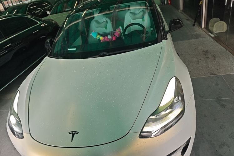 Tesla Model 3 2020 #3 Tesla Model 3 2020 car image #3
