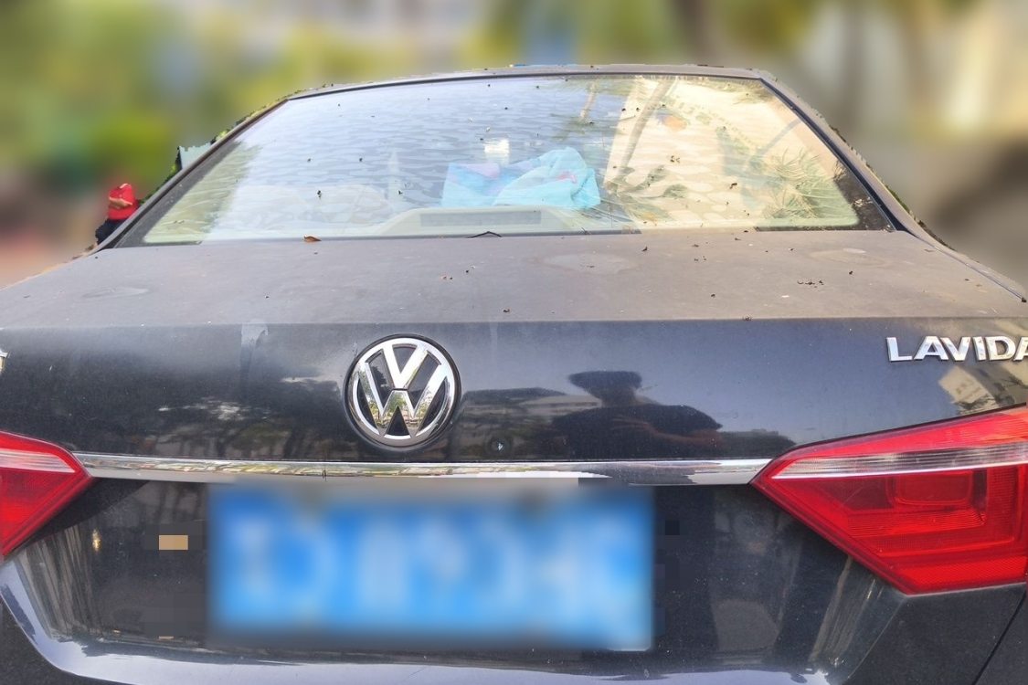 Volkswagen Lavida 2013 #6 Volkswagen Lavida 2013 car image #6
