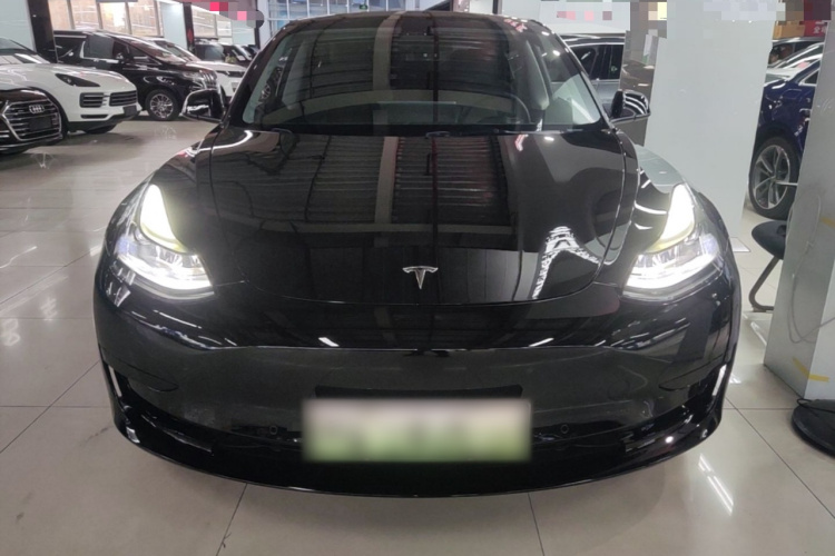 Tesla Model 3 2021 #3 Tesla Model 3 2021 car image #3