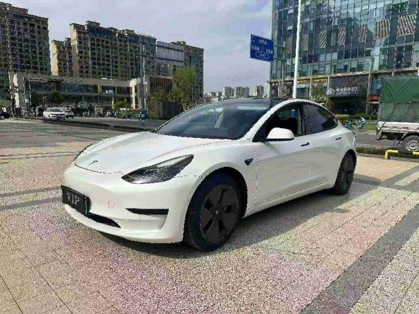 Tesla Model 3 2021 Tesla Model 3 2021 car image