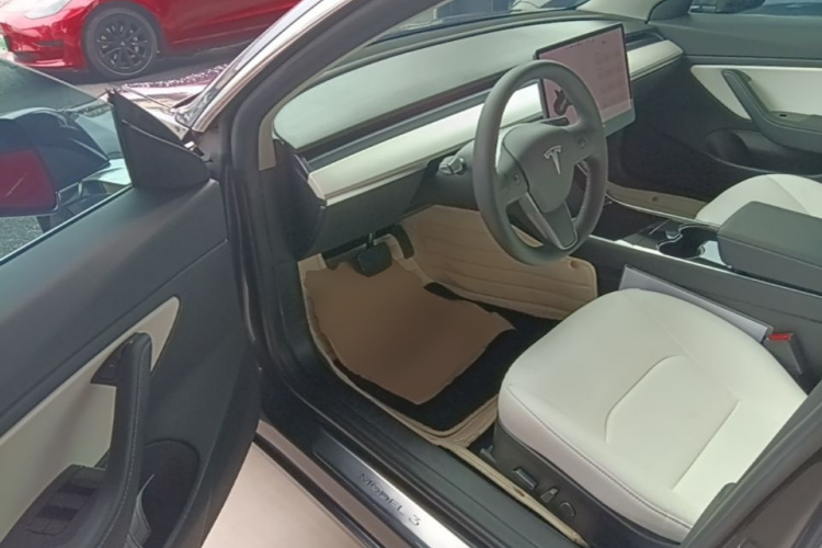Tesla Model 3 2020 car image #16