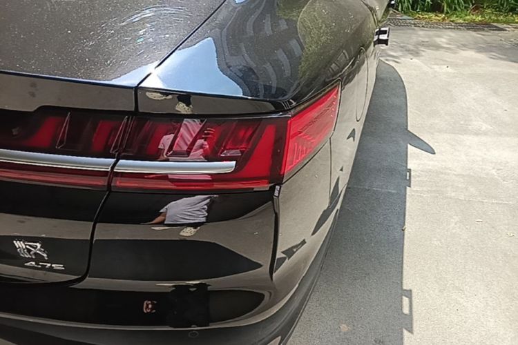 BYD Han 2020 #8 BYD Han 2020 immagine di auto #8
