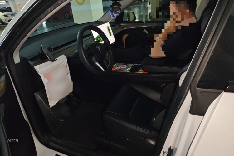 Tesla Model Y 2023 car image #17