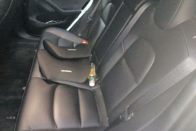 Tesla Model 3 2022 immagine di auto #19