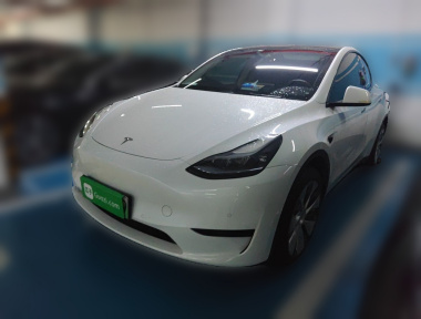 Tesla Model Y 2023 car image 