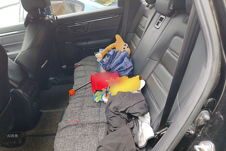 Honda CR-V 2020 car image #19