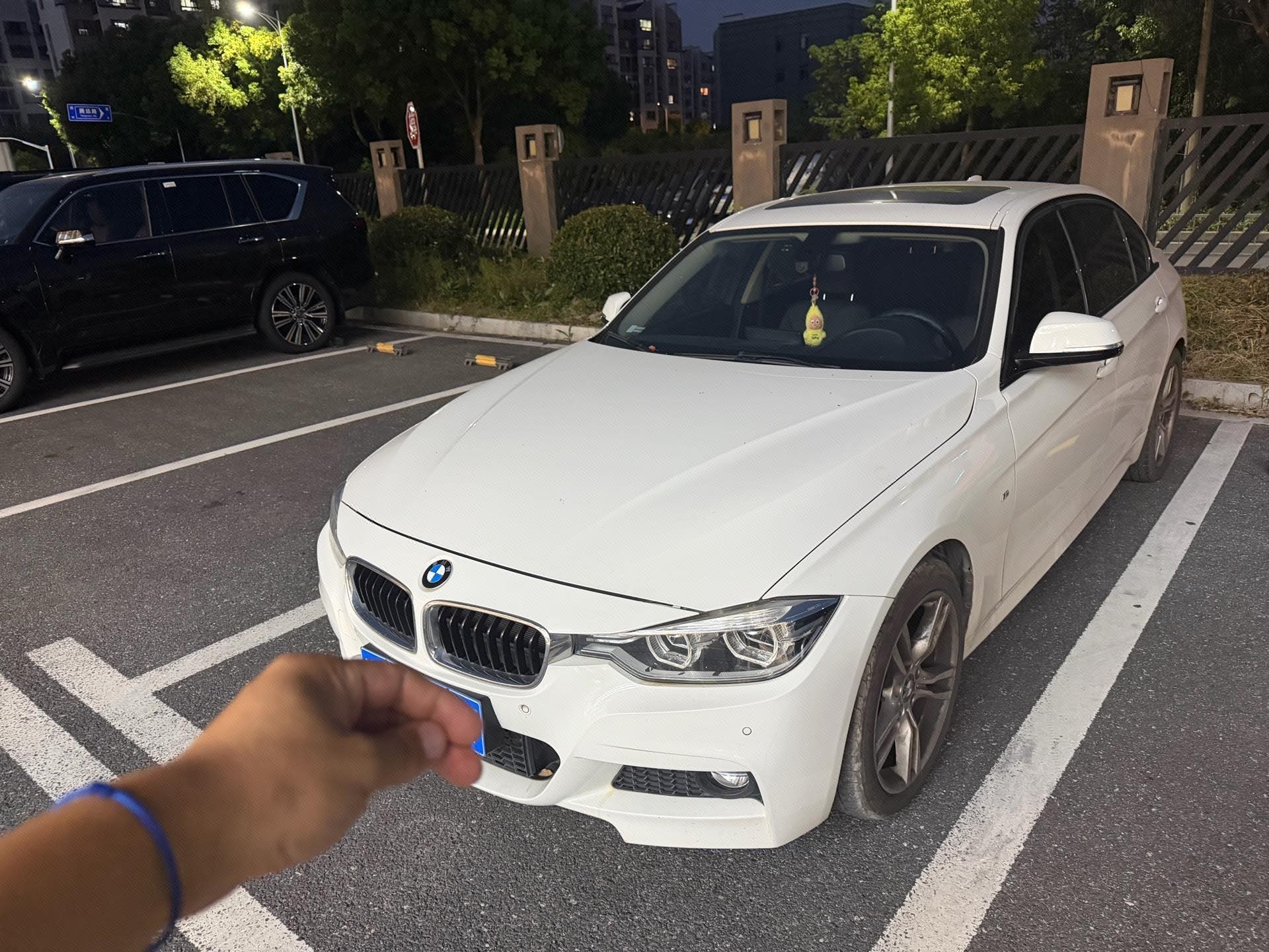 BMW 3 Series 2019 car image 