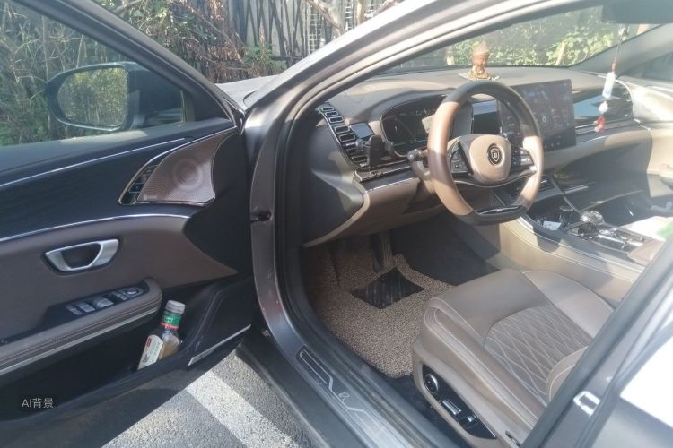 BYD Han 2021 immagine di auto #18