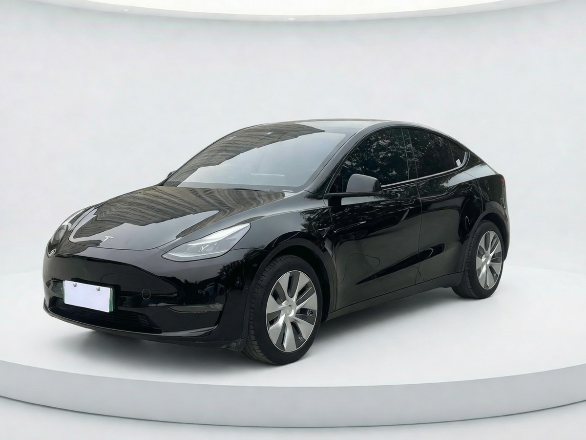 Tesla Model Y 2022 car image 