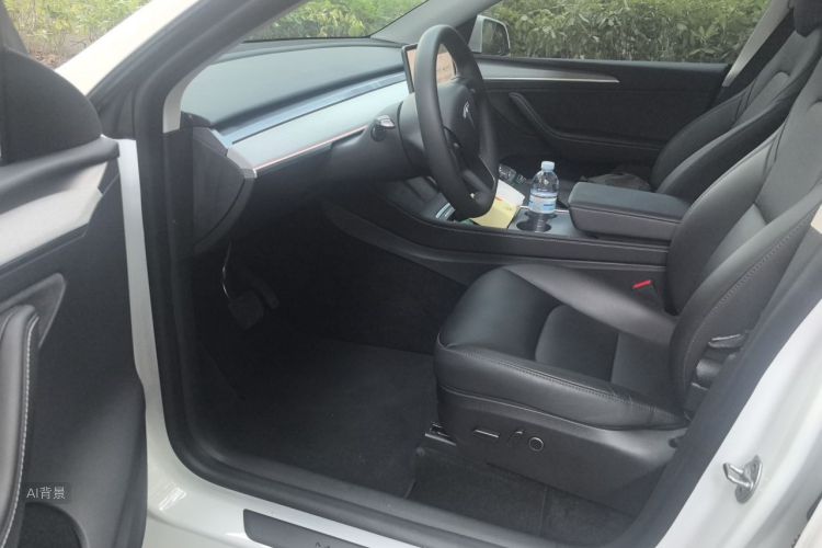 Tesla Model Y 2024 car image #18