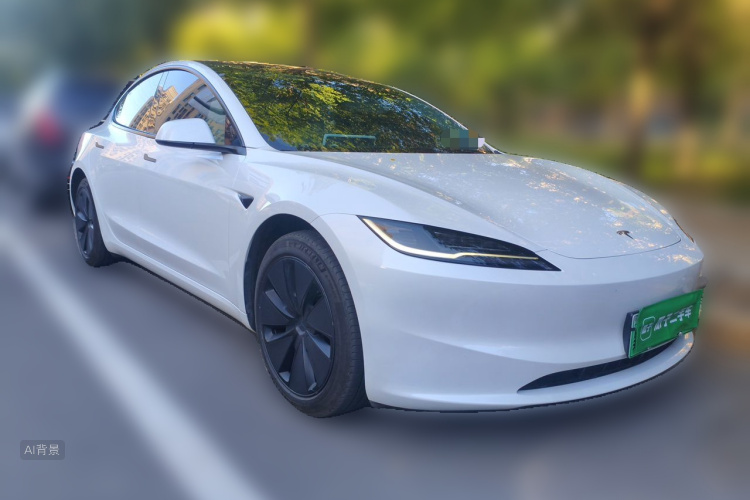 Tesla Model 3 2024 immagine di auto #4