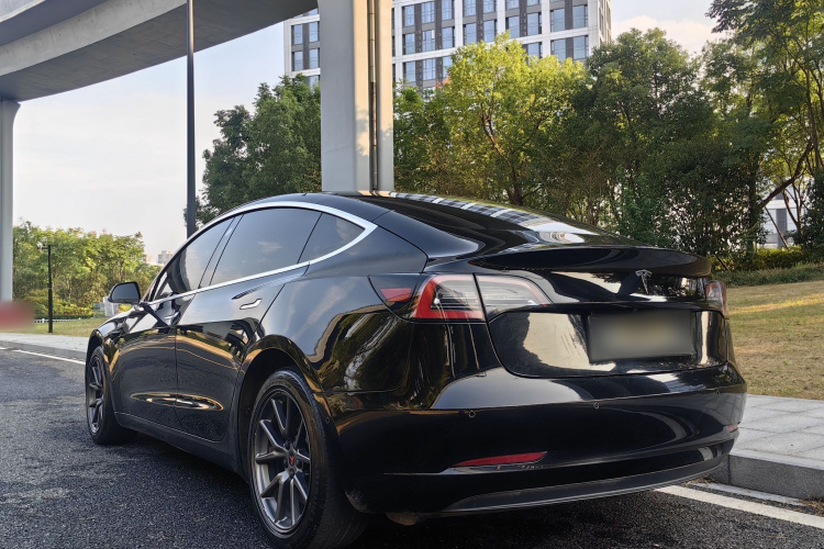 Tesla Model 3 2020 #6 Tesla Model 3 2020 صورة سيارة #6