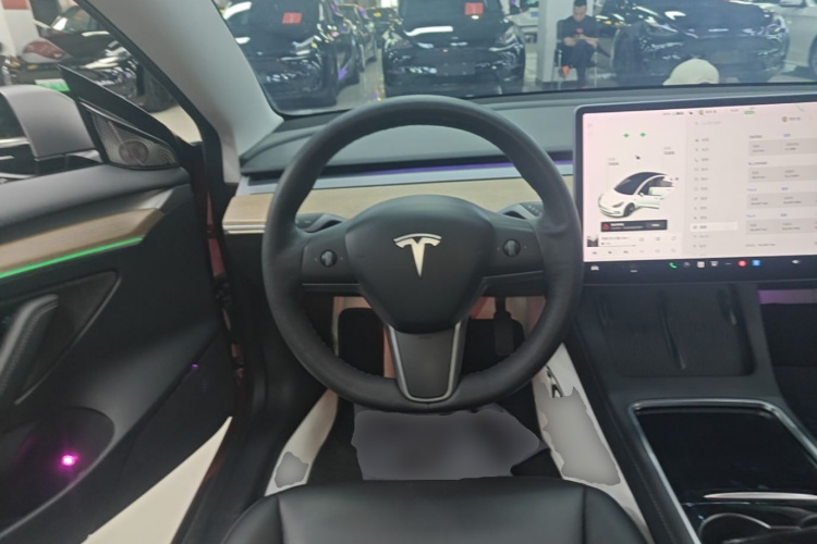 Tesla Model 3 2021 #11 Tesla Model 3 2021 car image #11