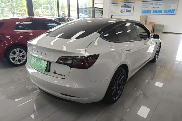 Tesla Model 3 2021 #7 Tesla Model 3 2021 car image #7