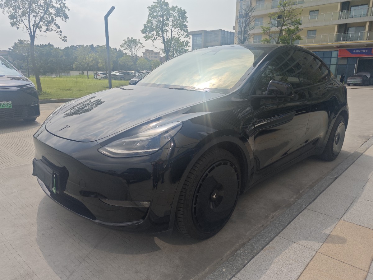 Tesla Model Y 2021 car image 