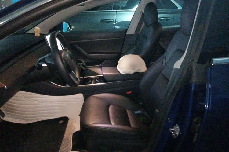 Tesla Model 3 2020 immagine di auto #19