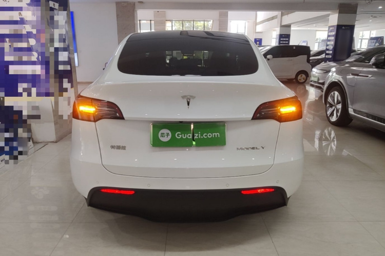 Tesla Model Y 2023 #6 Tesla Model Y 2023 car image #6