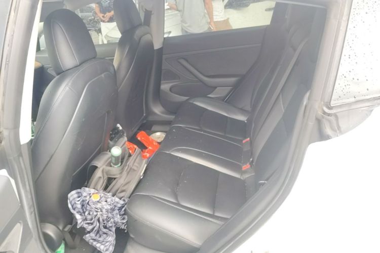 Tesla Model 3 2020 car image #17