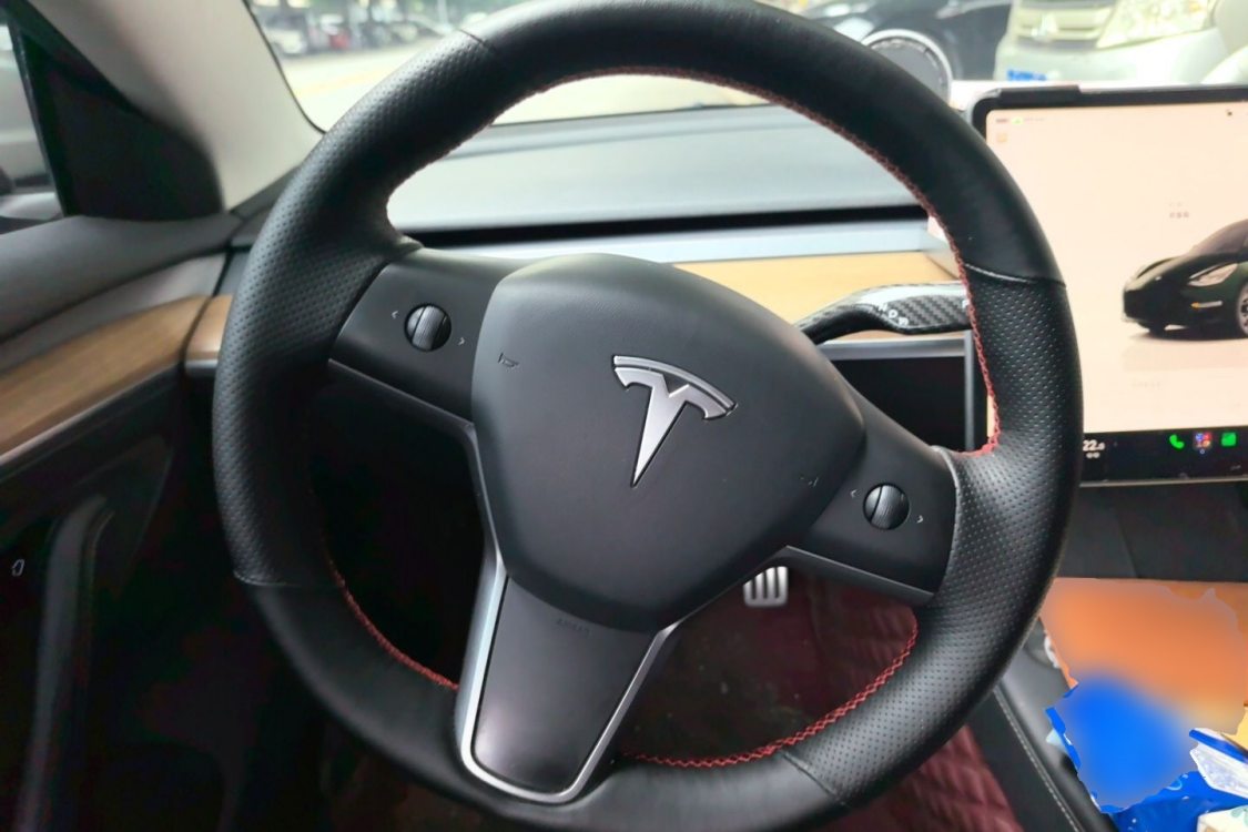 Tesla Model 3 2022 #22 Tesla Model 3 2022 car image #22