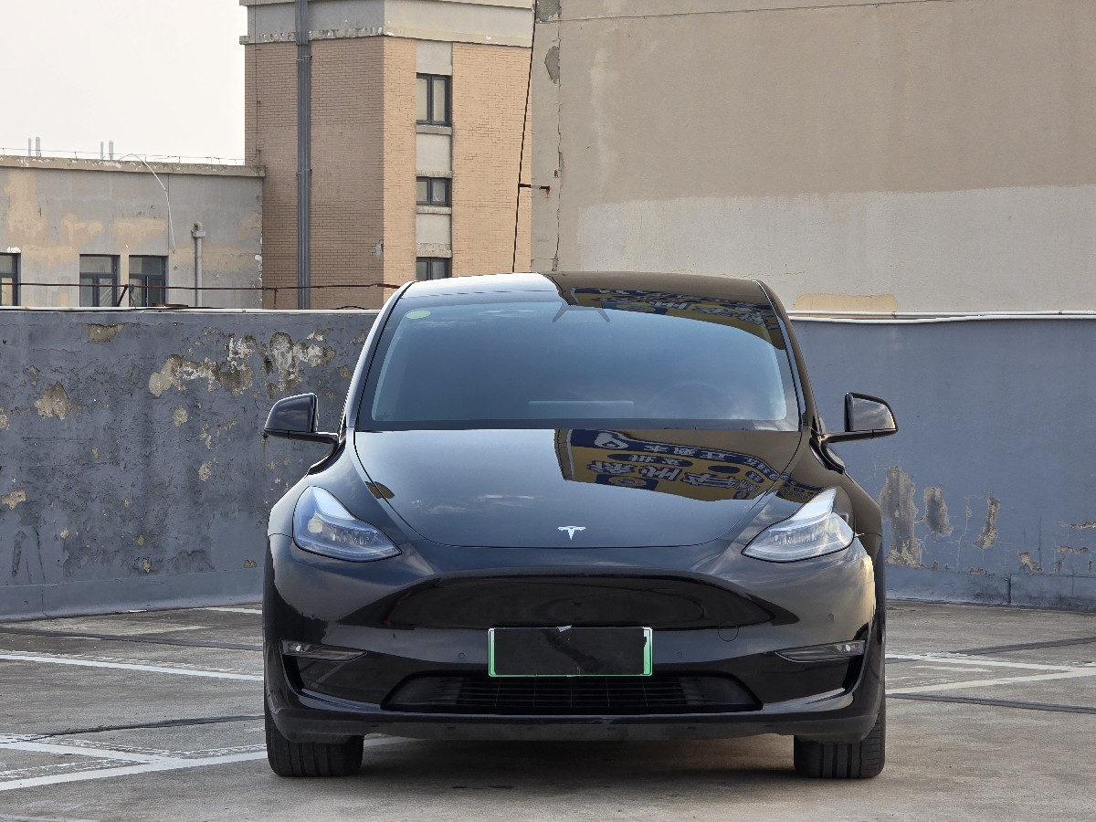 Tesla Model Y 2021 car image #2