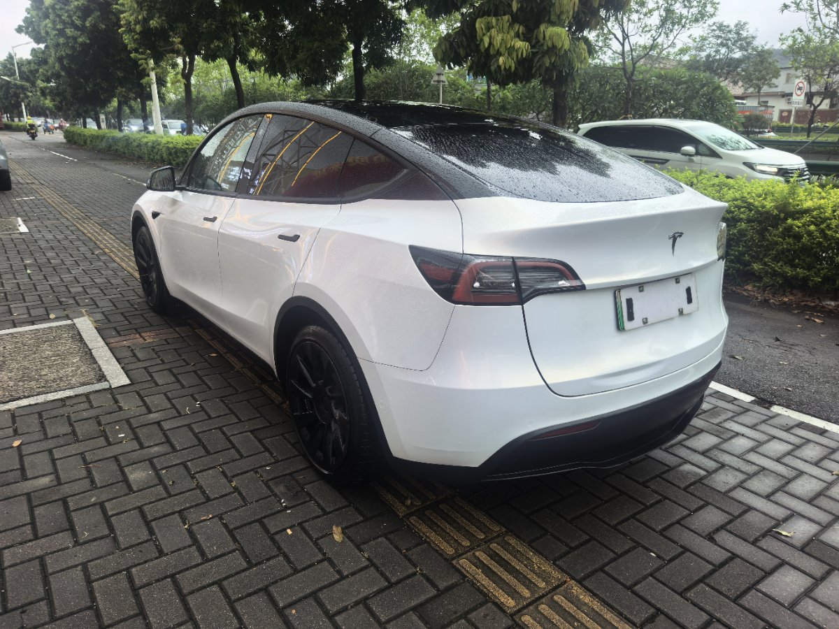 Tesla Model Y 2021 car image #3