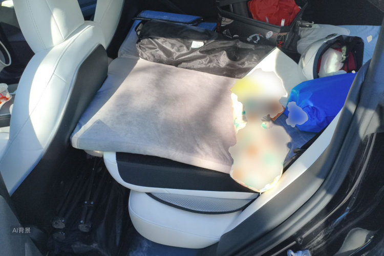 Tesla Model 3 2022 immagine di auto #19