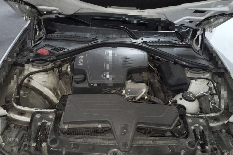 BMW 3 Series 2016 car image #22