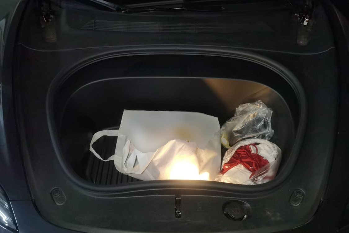 Tesla Model 3 2025 car image #10