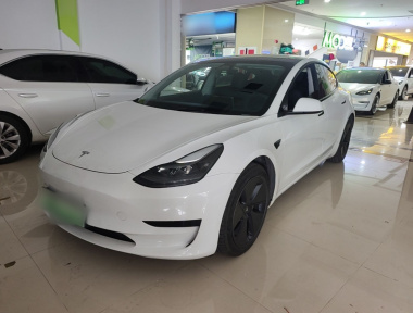 Tesla Model 3 2021 Tesla Model 3 2021 car image