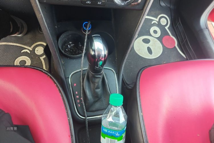 Volkswagen Polo 2015 car image #16