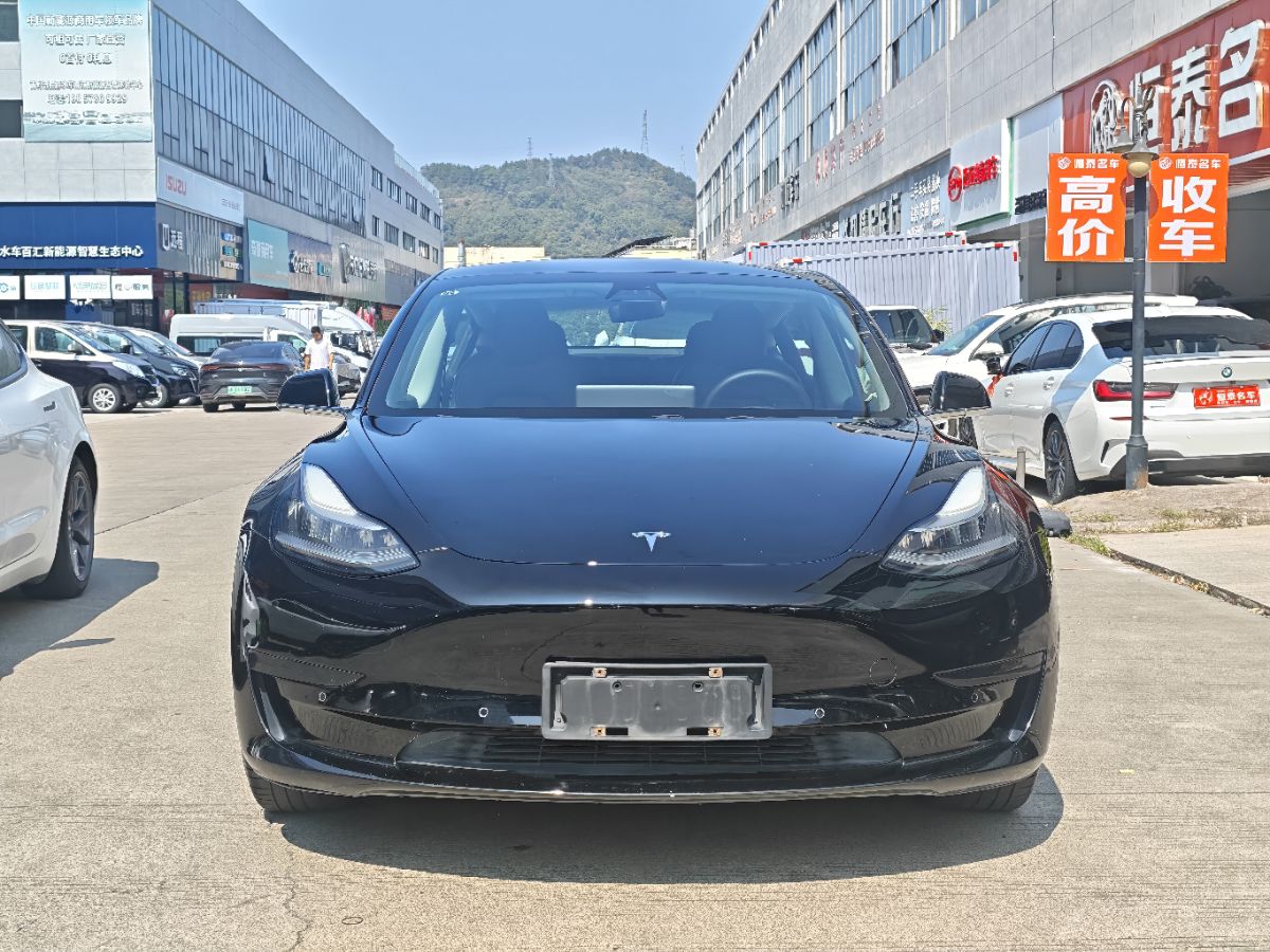 Tesla Model 3 2020 #2 Tesla Model 3 2020 car image #2