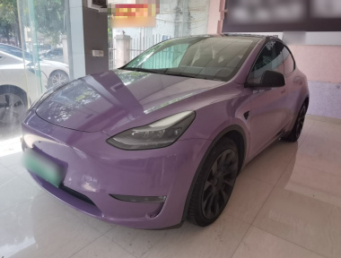 Tesla Model Y 2021 Tesla Model Y 2021 car image