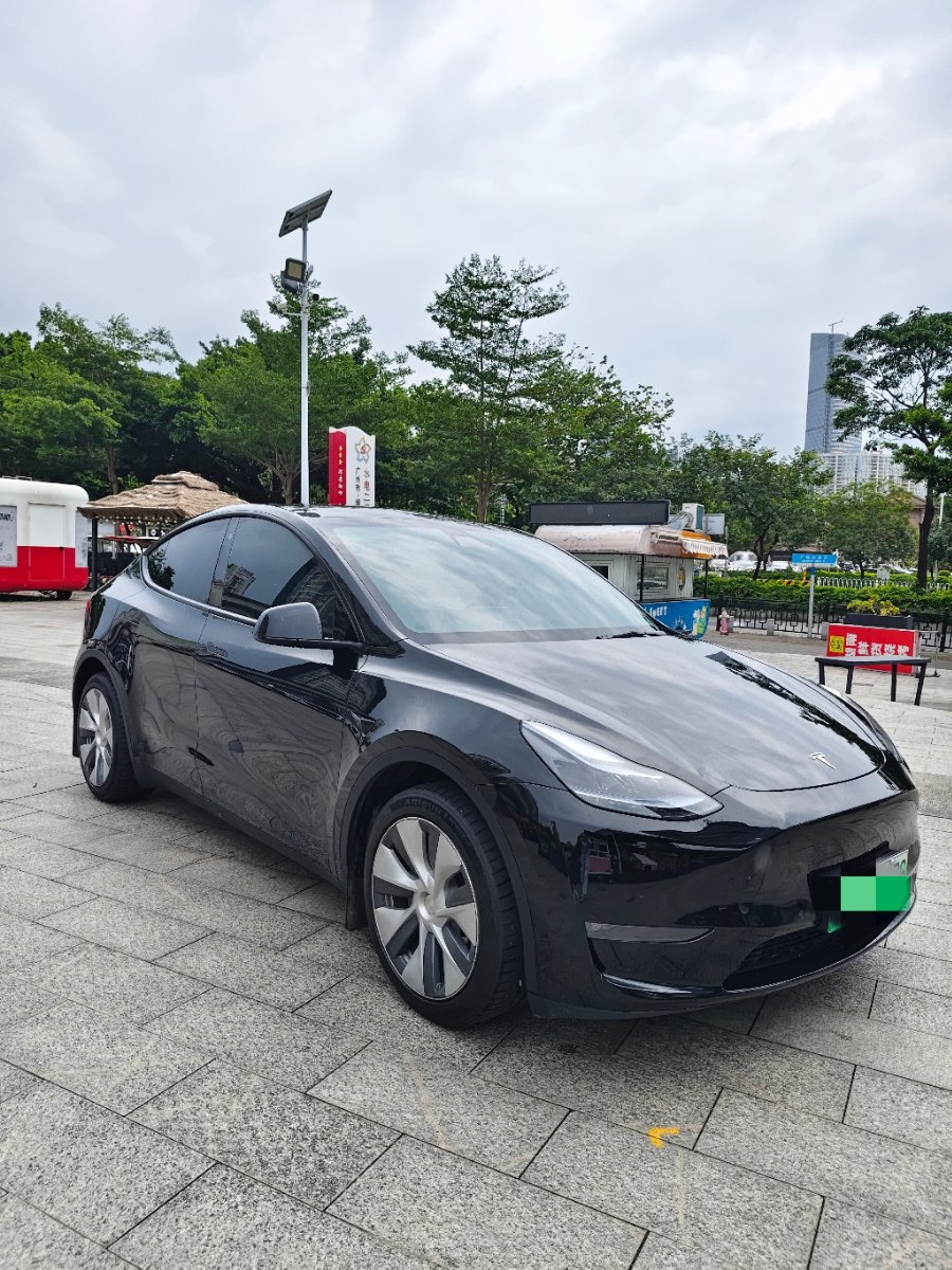 Tesla Model Y 2021 #3 Tesla Model Y 2021 car image #3